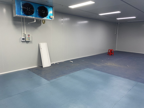 電子草莓视频在线观看免费视频車間廠房施工